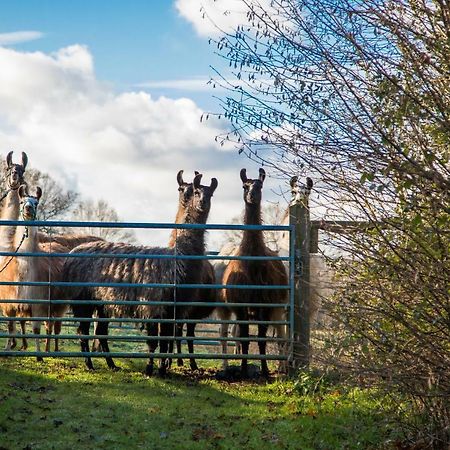 The Merry Harriers Bed & Breakfast Godalming Luaran gambar